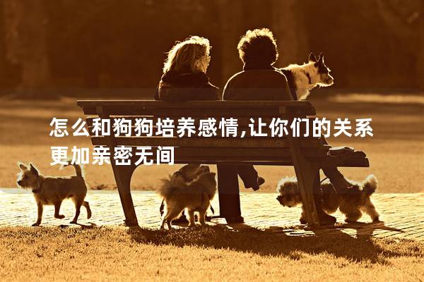 怎么和狗狗培養感情,讓你們的關系更加親密無間