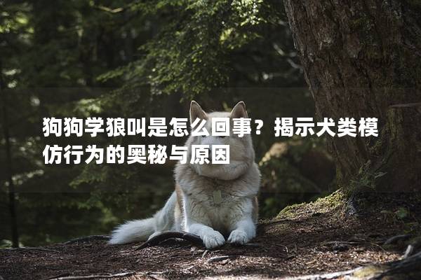 狗狗學(xué)狼叫是怎么回事?揭示犬類模仿行為的奧秘與原因 狗狗學(xué)狼叫是怎么回事?揭示犬類模仿行為的奧秘與原因