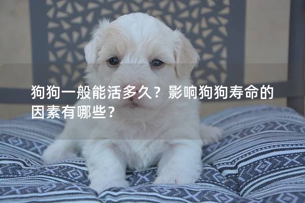 狗狗一般能活多久？影響狗狗壽命的因素有哪些？