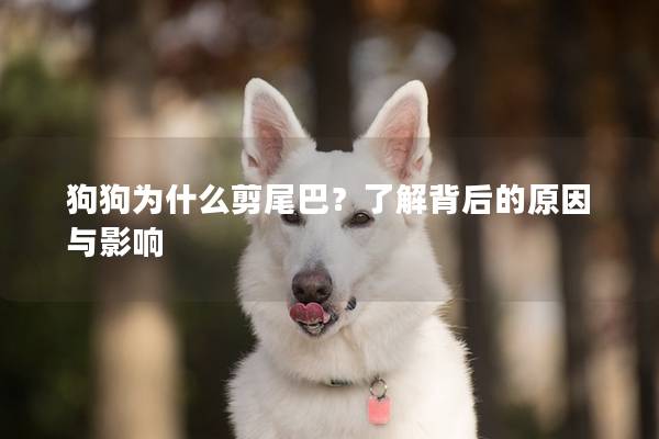 狗狗為什么剪尾巴？了解背后的原因與影響