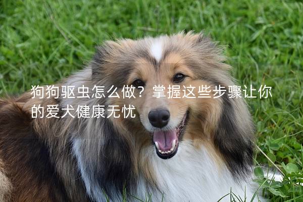 狗狗驅(qū)蟲怎么做？掌握這些步驟讓你的愛犬健康無憂