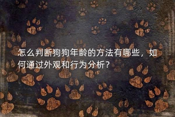 怎么判斷狗狗年齡的方法有哪些，如何通過外觀和行為分析？