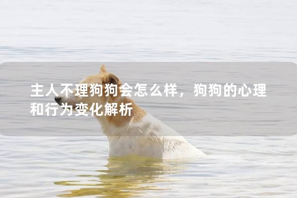 主人不理狗狗會怎么樣，狗狗的心理和行為變化解析