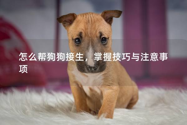 怎么幫狗狗接生，掌握技巧與注意事項