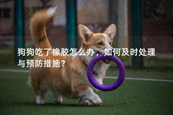 狗狗吃了橡膠怎么辦，如何及時處理與預防措施？