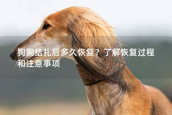 狗狗結(jié)扎后多久恢復(fù)？了解恢復(fù)過程和注意事項(xiàng)