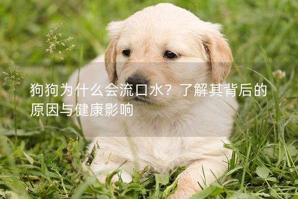狗狗為什么會(huì)流口水？了解其背后的原因與健康影響