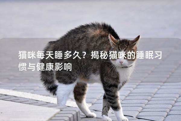 貓咪每天睡多久?揭秘貓咪的睡眠習慣與健康影響 貓咪每天睡多久?揭秘貓咪的睡眠習慣與健康影響