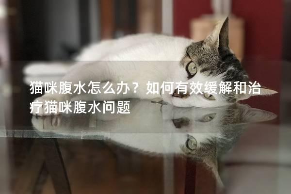 貓咪腹水怎么辦？如何有效緩解和治療貓咪腹水問題