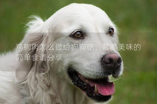 雞胸肉怎么做給狗狗吃，營養(yǎng)美味的簡單食譜分享