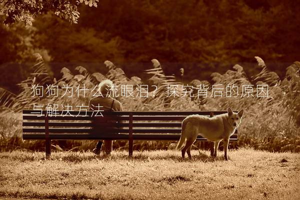 狗狗為什么流眼淚？探究背后的原因與解決方法