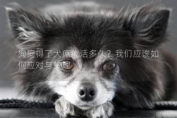 狗狗得了犬瘟能活多久？我們應該如何應對與護理
