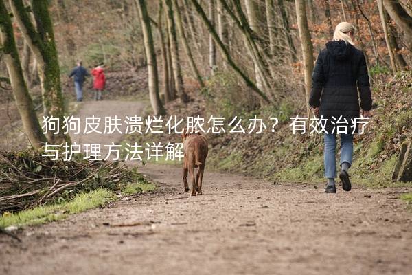 狗狗皮膚潰爛化膿怎么辦？有效治療與護理方法詳解