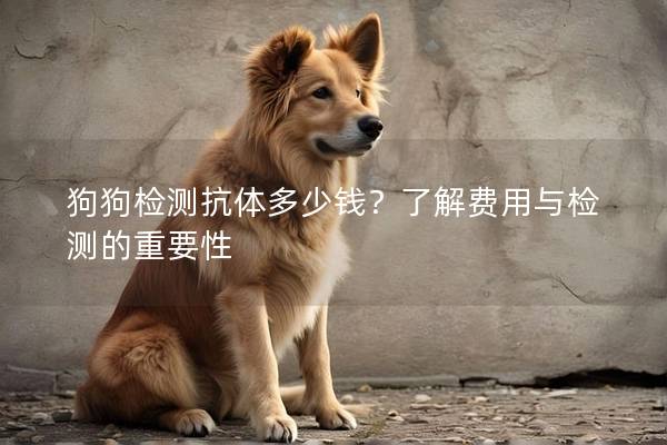 狗狗檢測抗體多少錢？了解費用與檢測的重要性