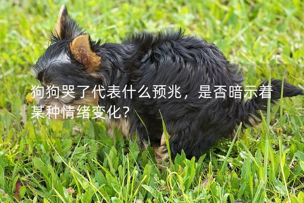 狗狗哭了代表什么預兆，是否暗示著某種情緒變化？