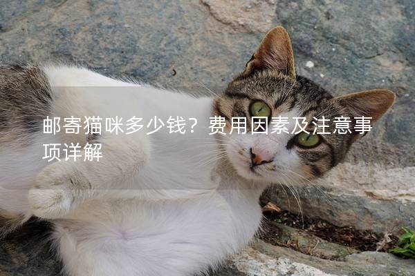 郵寄貓咪多少錢?費用因素及注意事項詳解 郵寄貓咪多少錢?費用因素及注意事項詳解