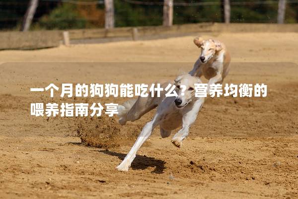 一個(gè)月的狗狗能吃什么？營(yíng)養(yǎng)均衡的喂養(yǎng)指南分享