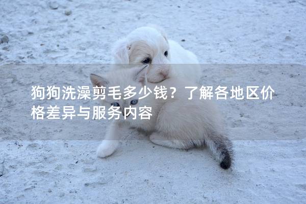 狗狗洗澡剪毛多少錢？了解各地區(qū)價(jià)格差異與服務(wù)內(nèi)容
