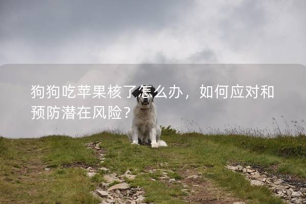 狗狗吃蘋果核了怎么辦，如何應對和預防潛在風險？