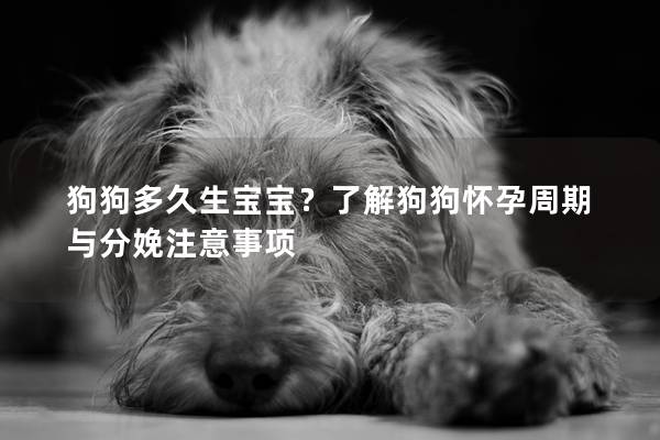 狗狗多久生寶寶？了解狗狗懷孕周期與分娩注意事項