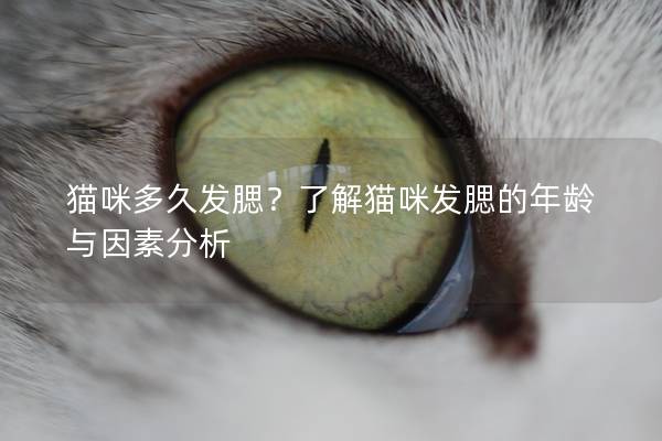 貓咪多久發腮？了解貓咪發腮的年齡與因素分析