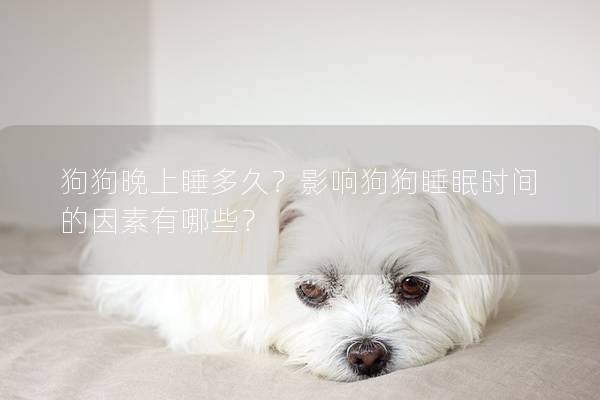 狗狗晚上睡多久？影響狗狗睡眠時間的因素有哪些？