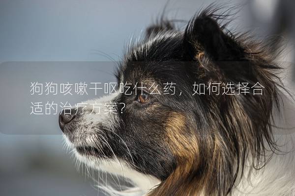 狗狗咳嗽干嘔吃什么藥，如何選擇合適的治療方案？