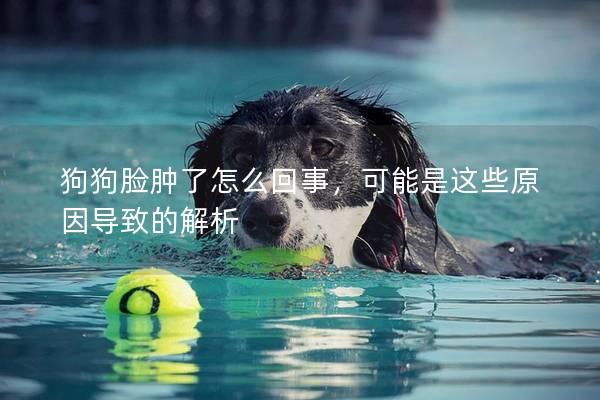 狗狗臉腫了怎么回事，可能是這些原因?qū)е碌慕馕?></em><p>狗狗臉腫了怎么回事，可能是這些原因?qū)е碌慕馕?/p><span>2024-12-03</span></a></li> 
                                            </ul>
                                        </div>

                                        <div   id=