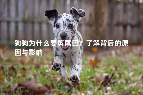 狗狗為什么要剪尾巴？了解背后的原因與影響