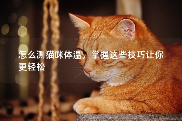 怎么測貓咪體溫，掌握這些技巧讓你更輕松