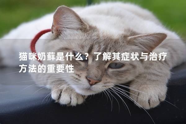 貓咪奶蘚是什么？了解其癥狀與治療方法的重要性