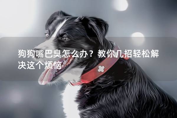 狗狗嘴巴臭怎么辦？教你幾招輕松解決這個煩惱
