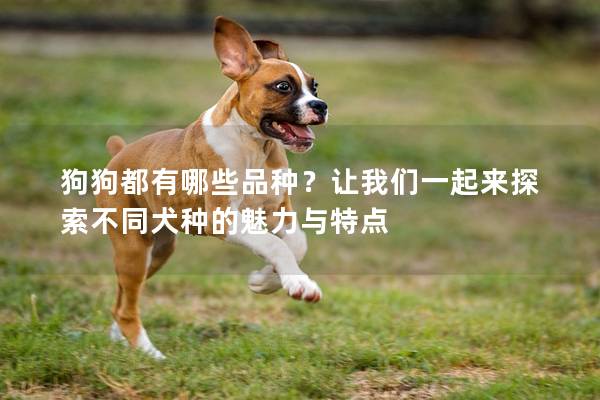 狗狗都有哪些品種？讓我們一起來探索不同犬種的魅力與特點