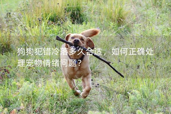 狗狗犯錯冷落多久合適，如何正確處理寵物情緒問題？