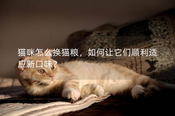 貓咪怎么換貓糧，如何讓它們順利適應(yīng)新口味？
