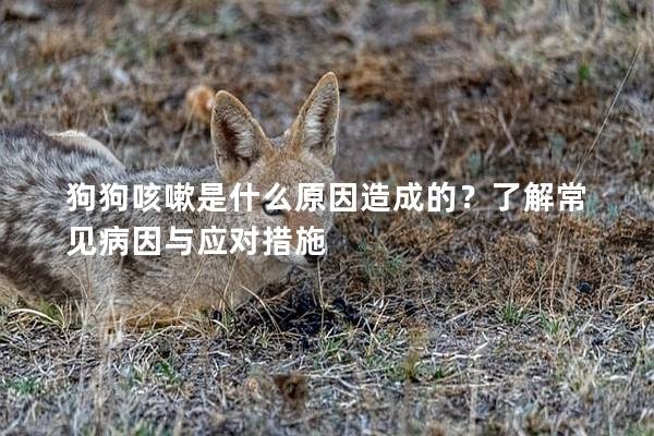 狗狗咳嗽是什么原因造成的?了解常見病因與應對措施