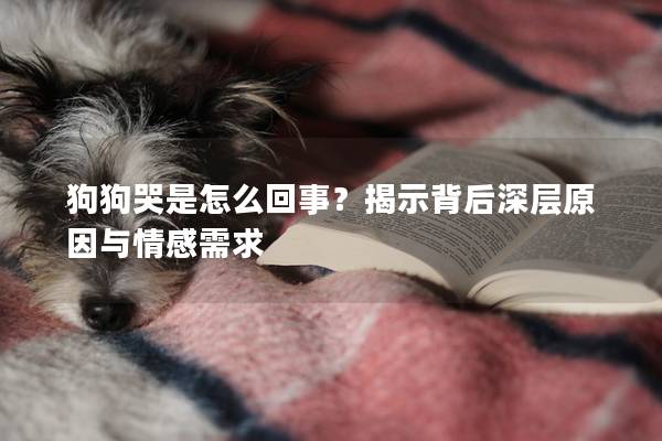 狗狗哭是怎么回事？揭示背后深層原因與情感需求