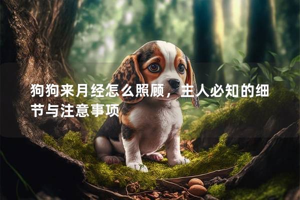 狗狗來月經怎么照顧，主人必知的細節與注意事項