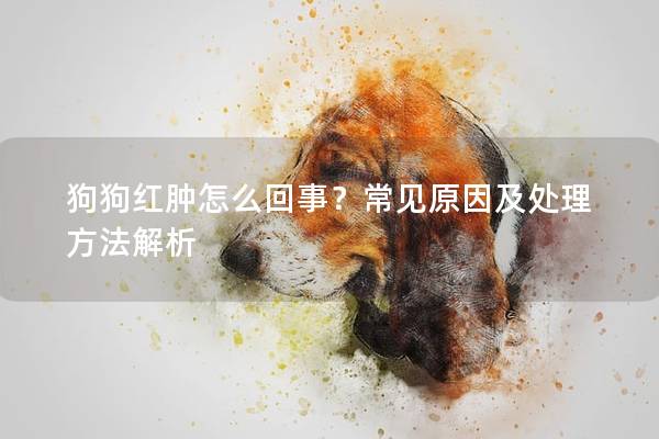 狗狗紅腫怎么回事？常見原因及處理方法解析