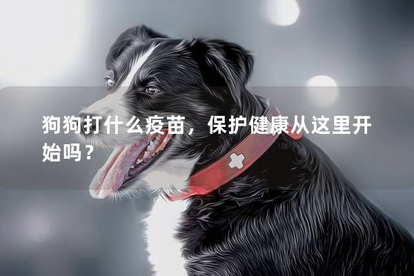 狗狗打什么疫苗，保護(hù)健康從這里開(kāi)始嗎？