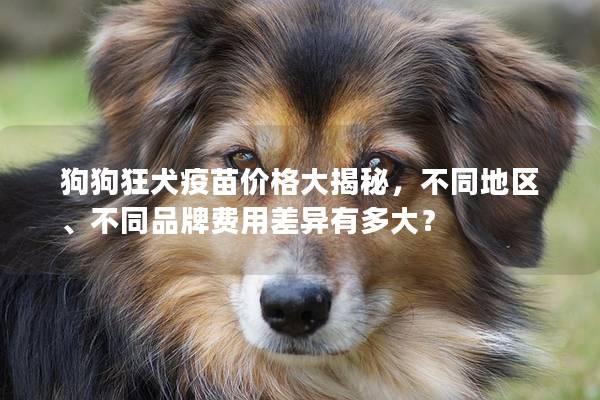 狗狗狂犬疫苗價格大揭秘，不同地區、不同品牌費用差異有多大？