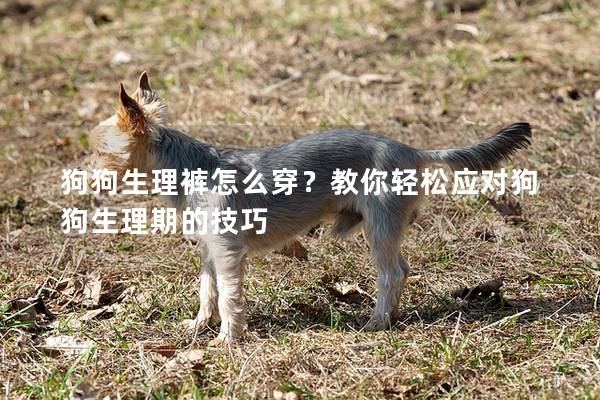 狗狗生理褲怎么穿？教你輕松應(yīng)對狗狗生理期的技巧