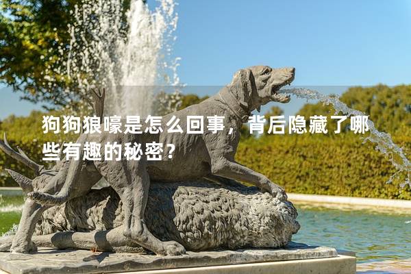 狗狗狼嚎是怎么回事，背后隱藏了哪些有趣的秘密？