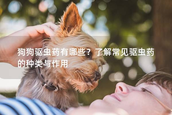 狗狗驅蟲藥有哪些？了解常見驅蟲藥的種類與作用