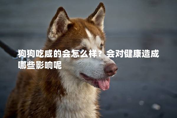 狗狗吃咸的會怎么樣？會對健康造成哪些影響呢