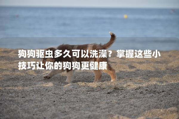 狗狗驅蟲多久可以洗澡？掌握這些小技巧讓你的狗狗更健康