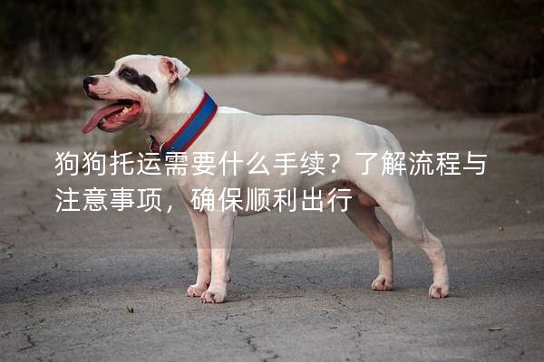 狗狗托運需要什么手續？了解流程與注意事項，確保順利出行