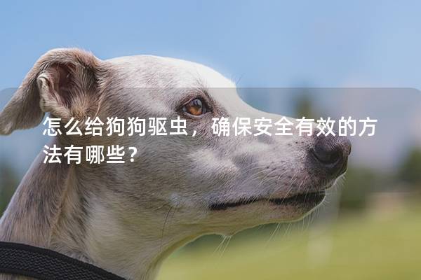 怎么給狗狗驅(qū)蟲，確保安全有效的方法有哪些？