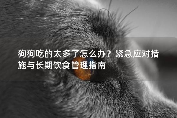 狗狗吃的太多了怎么辦？緊急應對措施與長期飲食管理指南