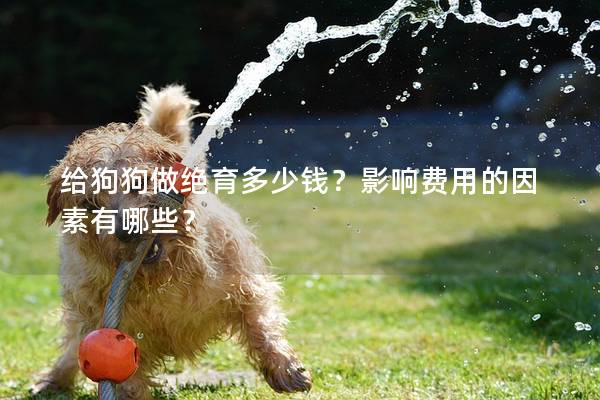 給狗狗做絕育多少錢？影響費用的因素有哪些？